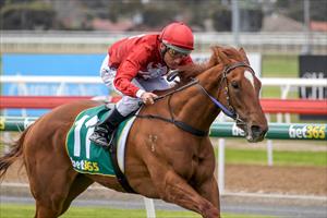 Group Wishes for Flemington contender